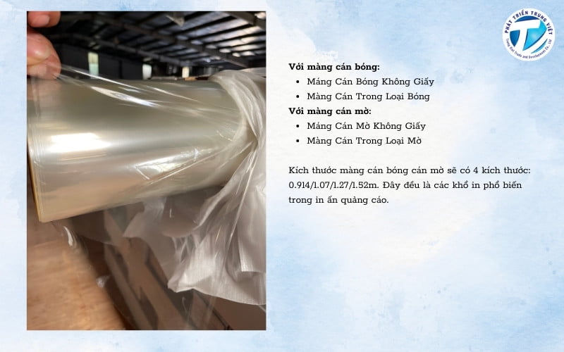 Màng cán bóng và cán mờ cán nguội/lạnh